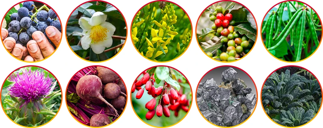 HepatoBurn ingredients